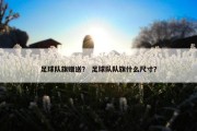 足球队旗赠送？ 足球队队旗什么尺寸？
