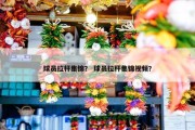 球员拉杆集锦？ 球员拉杆集锦视频？
