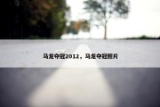 马龙夺冠2012，马龙夺冠照片