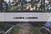 12本加强阵容（12本前期阵型）