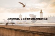 心动女生阵容，心动女生阵容搭配攻略图片大全