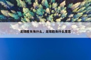 足球胜负有什么，足球胜负什么意思