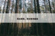 荷兰球衣，荷兰球衣壁纸