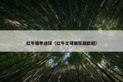 红牛德甲进球（红牛足球俱乐部欧冠）