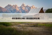 切尔西球队沙特（切尔西足球比赛）