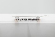 球员怼王治郅（王治郅经历）