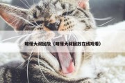 略懂大叔回放（略懂大叔回放在线观看）