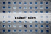 曼城后腰波佐？ 曼城波罗？