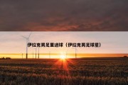 伊拉克男足里进球（伊拉克男足球星）