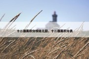 十二强赛积分榜幼儿园，十二强赛积分表