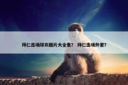 拜仁出场球衣图片大全集？ 拜仁出场外套？
