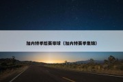 加内特季后赛带球（加内特赛季集锦）