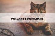 非洲球队身价排名（非洲球队实力排名）