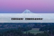 巴西球员退场？ 巴西国家队退役球员？