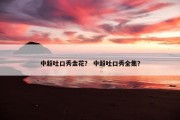 中超吐口秀金花？ 中超吐口秀全集？