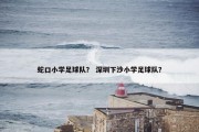 蛇口小学足球队？ 深圳下沙小学足球队？