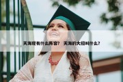 天海现有什么阵容？ 天海的大招叫什么？