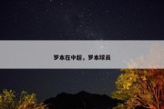 罗本在中超，罗本球员