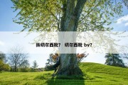 拆切尔西靴？ 切尔西靴 bv？
