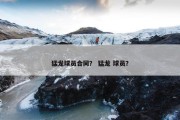 猛龙球员合同？ 猛龙 球员？