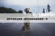 西甲年度更佳联赛（西甲年度更佳联赛是哪一年）