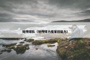 短传球队（短传球力度掌控能力）