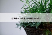 欧洲杯2016合集（欧洲杯 2016年）