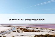 凯里wnba球员？ 凯里篮球明星吴俊简历？