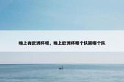 晚上有欧洲杯吧，晚上欧洲杯哪个队跟哪个队