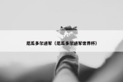厄瓜多尔进军（厄瓜多尔进军世界杯）