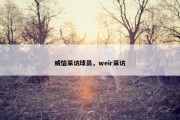 威信采访球员，weir采访
