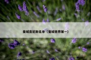 曼城吉尼斯名单（曼城世界第一）