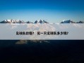 足球队价格？ 买一只足球队多少钱？