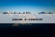 足球队价格？ 买一只足球队多少钱？