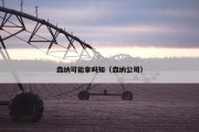 森纳可能拿吗知（森纳公司）