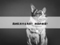 森纳队长什么电影？ 纳森的老婆？