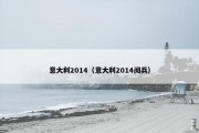 意大利2014（意大利2014阅兵）