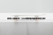 欧冠13冠皇马？ 1314赛季皇马欧冠夺冠之路？