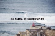 武汉青山欧冠，2021武汉看欧冠的酒吧