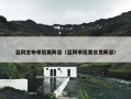 篮网宣布季后赛阵容（篮网季后赛首发阵容）