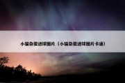 小猫杂耍进球图片（小猫杂耍进球图片卡通）