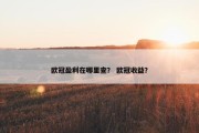 欧冠盈利在哪里查？ 欧冠收益？