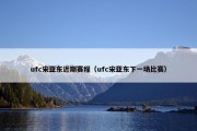 ufc宋亚东近期赛程（ufc宋亚东下一场比赛）