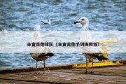主音吉他球队（主音吉他手训练教程）