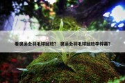 看奥运会羽毛球回放？ 奥运会羽毛球回放李梓嘉？