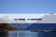 2016用球图，2016欧洲杯用球