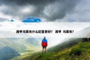西甲马赛克什么配置更好？ 西甲 马赛克？