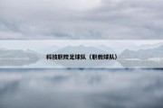 科技职院足球队（职教球队）