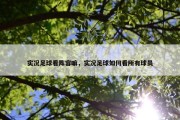 实况足球看阵容嘛，实况足球如何看所有球员