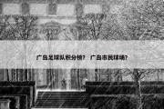 广岛足球队积分榜？ 广岛市民球场？